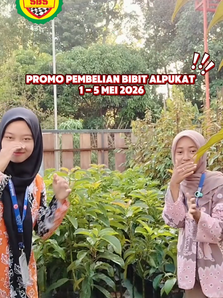 @Produksi Buah_SBS