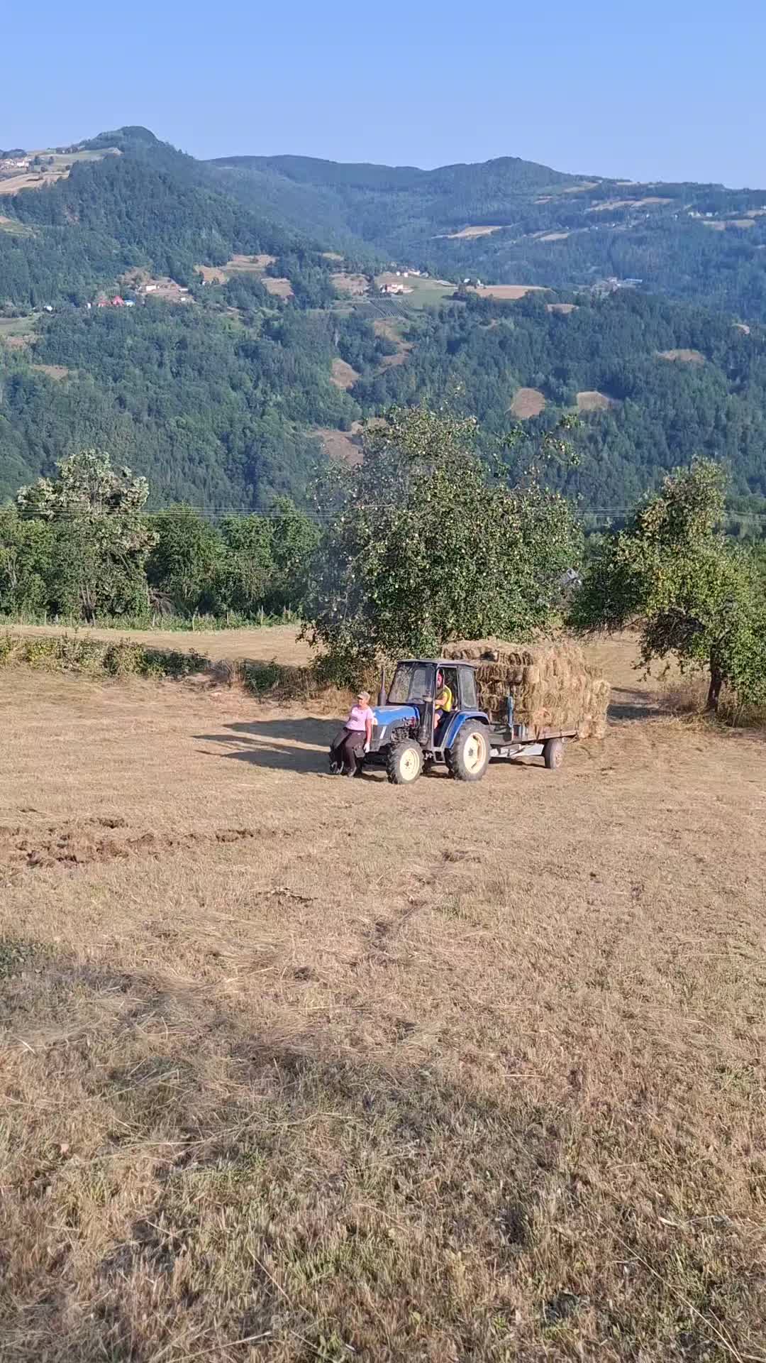 @P.G. JANKOVIC