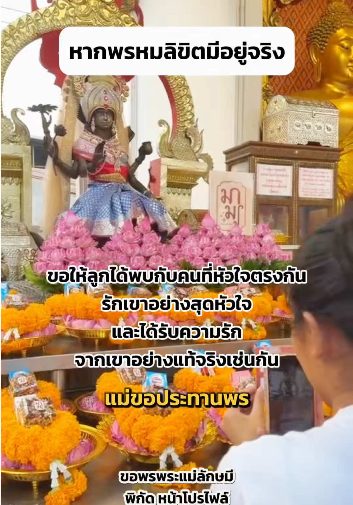 @มามู ออนไลน์ - ฝากไหว้ขอพร