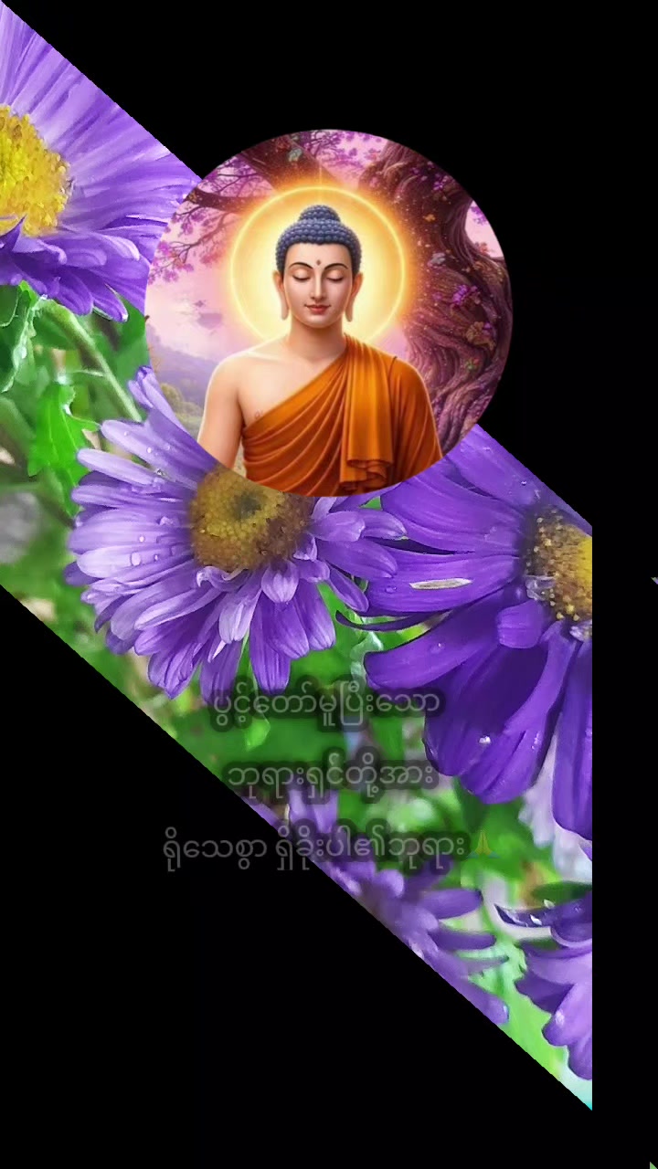 @Shwe Boke