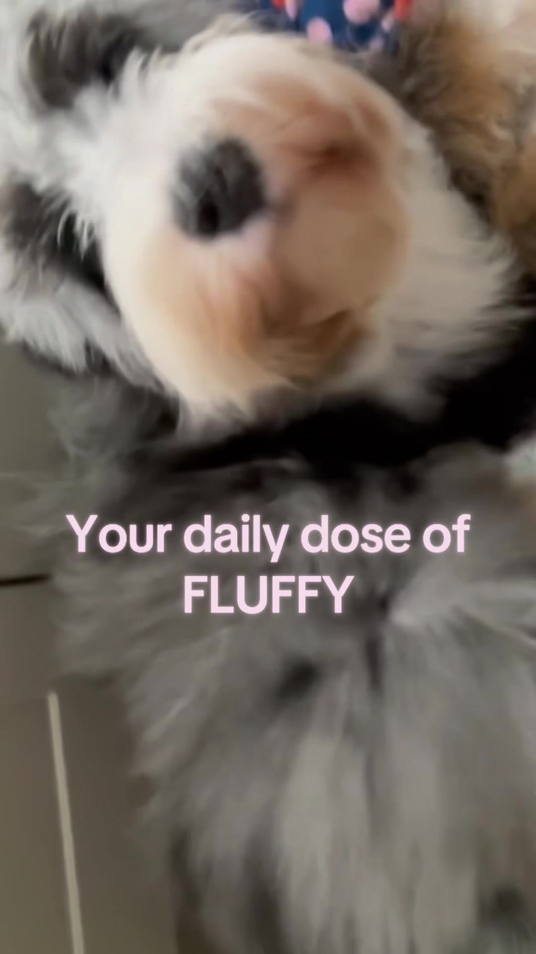 @Housewifelife47