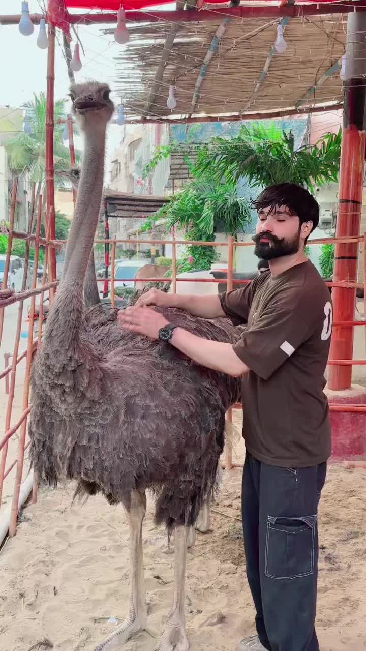 @SuFi Rasheed,,