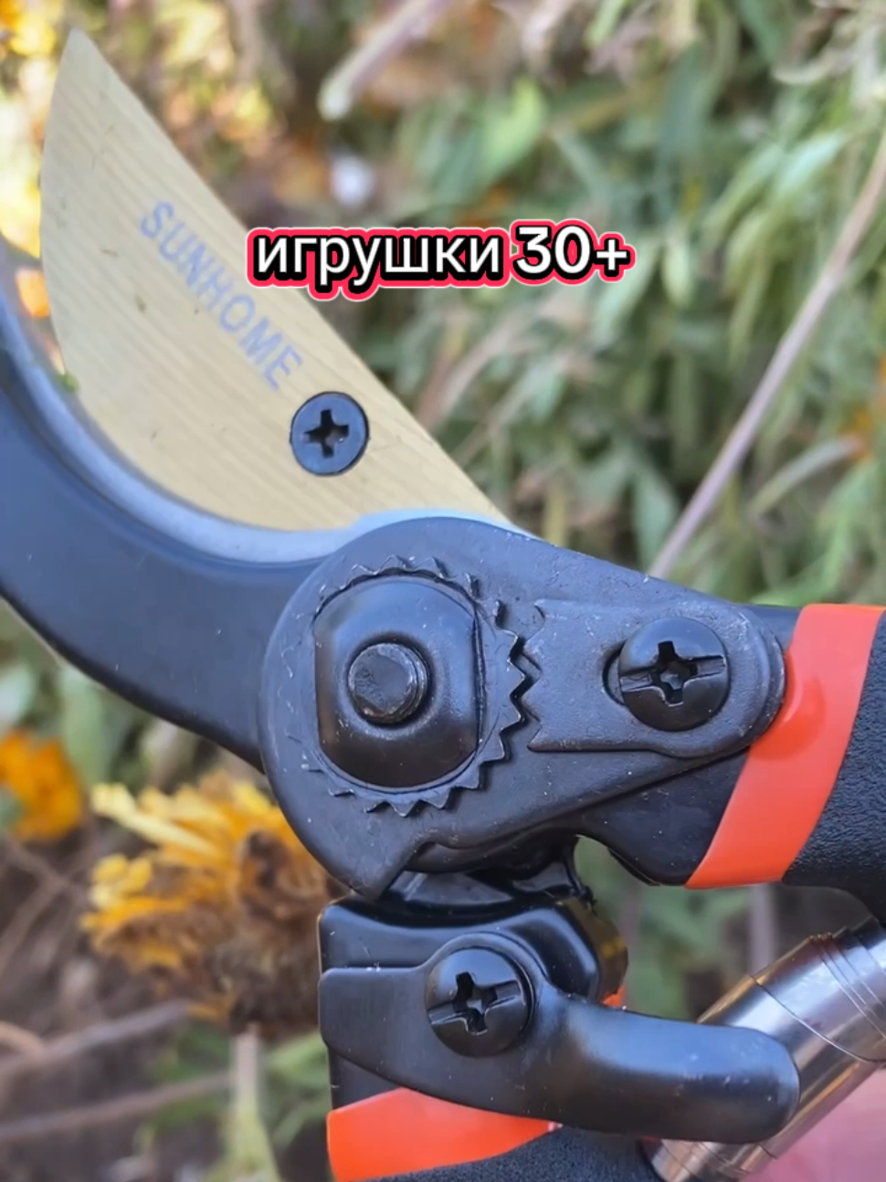 @user8370890784372