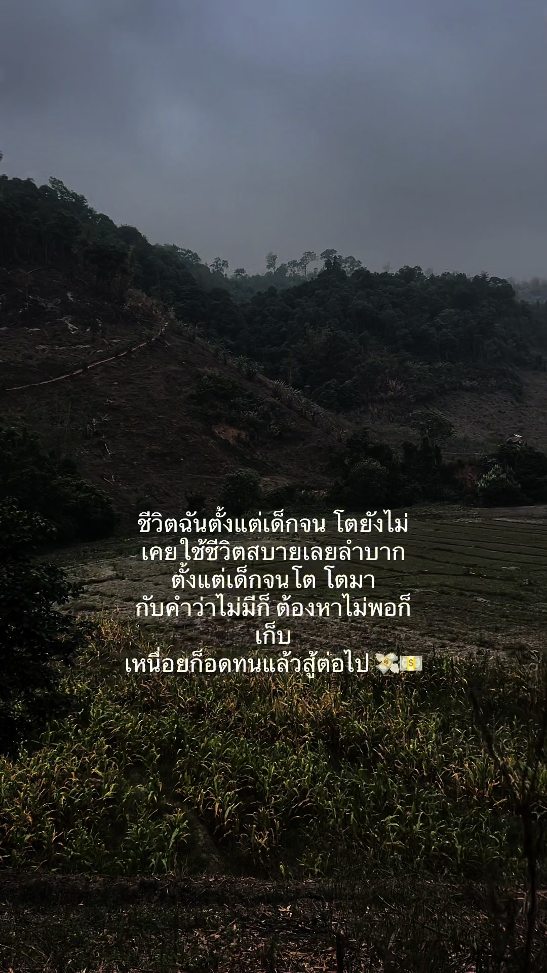 @Samai  Yodkhlangthong