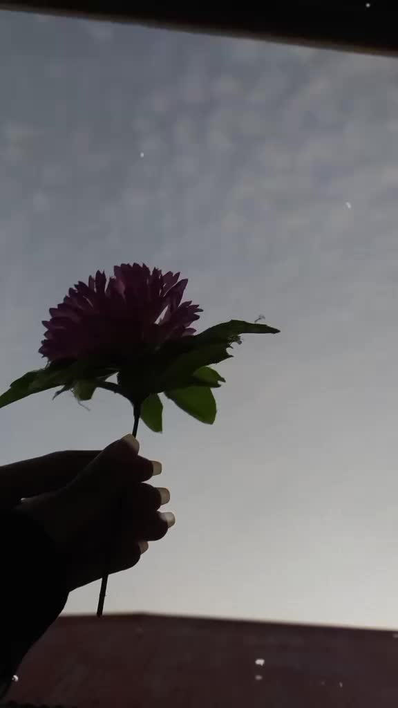 @Samiaعبّاسی