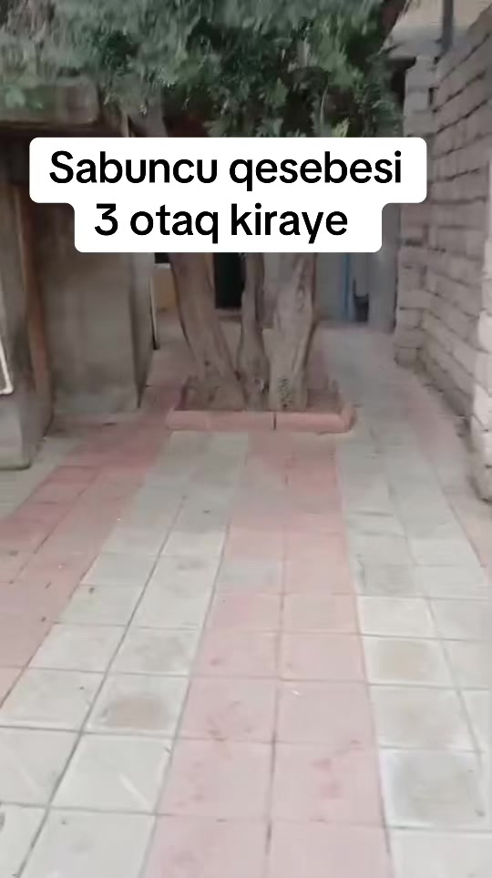 @Emlakci_ Xanım