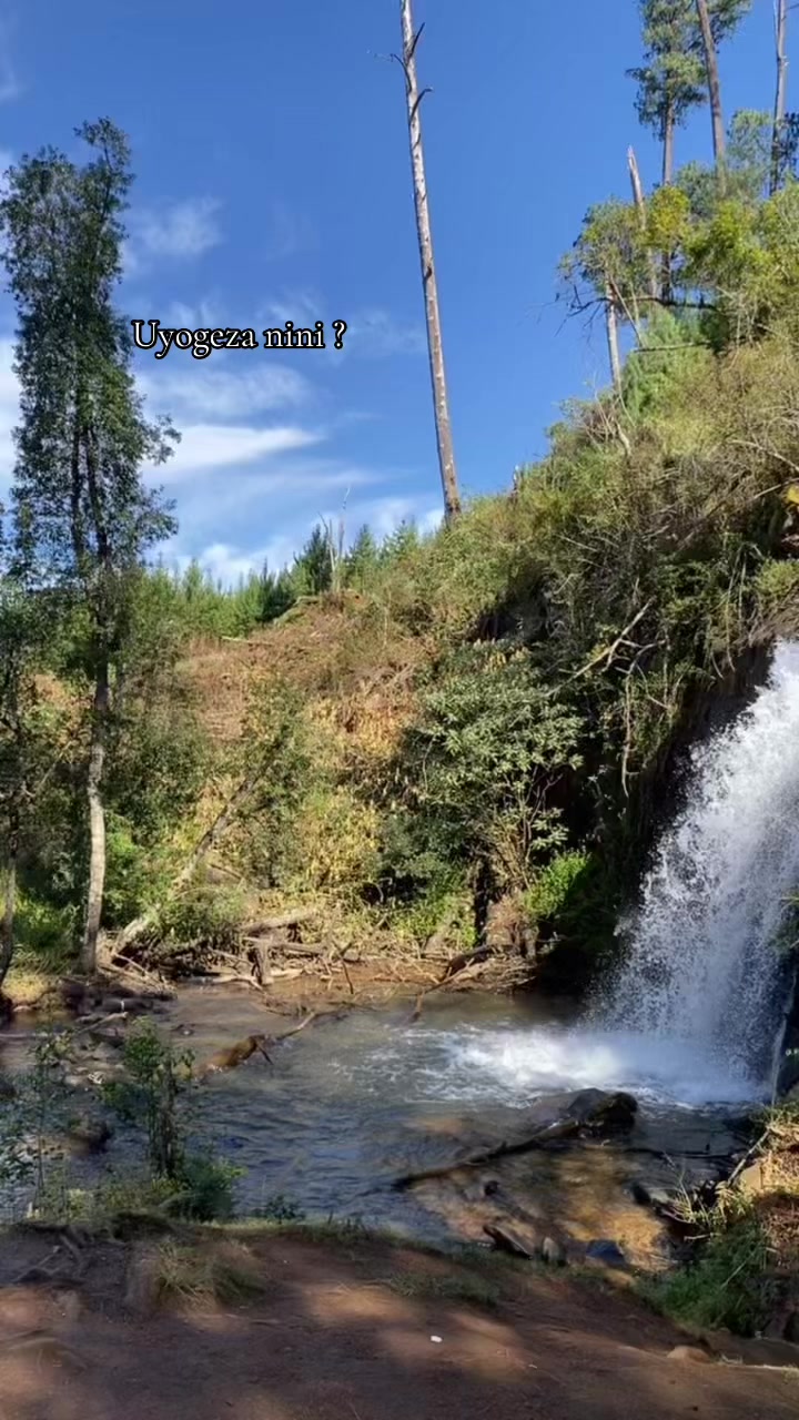 @iNkosikazi_yezulu ✨