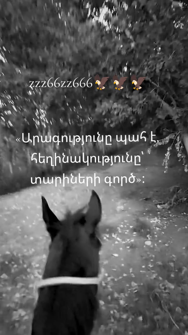 @🦅🦅🦅