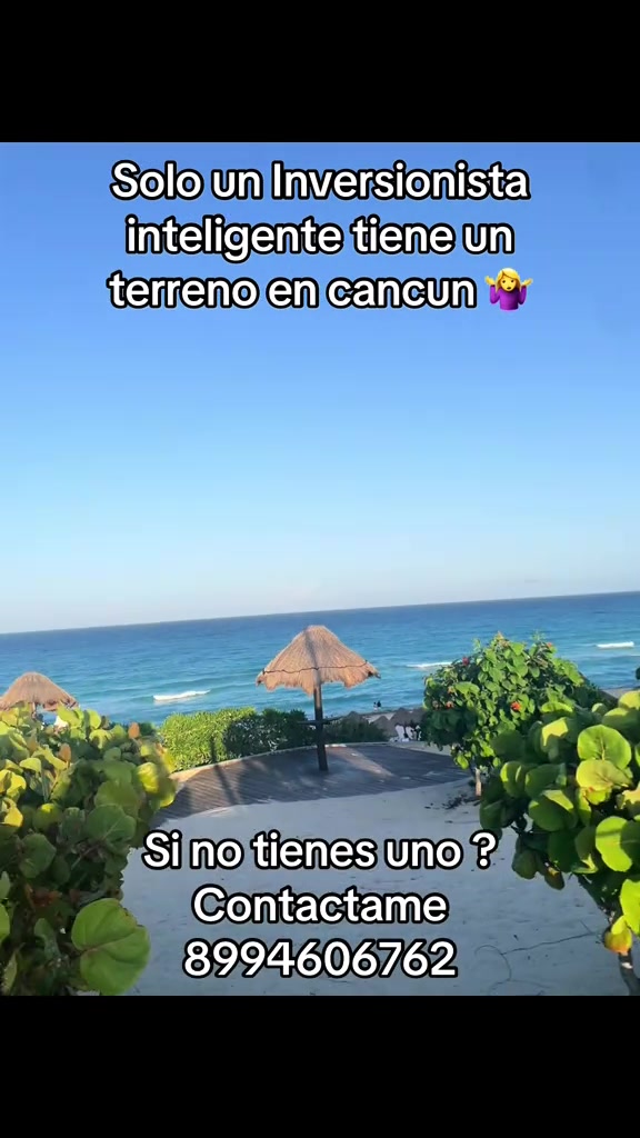 @Realstatemexico🇲🇽