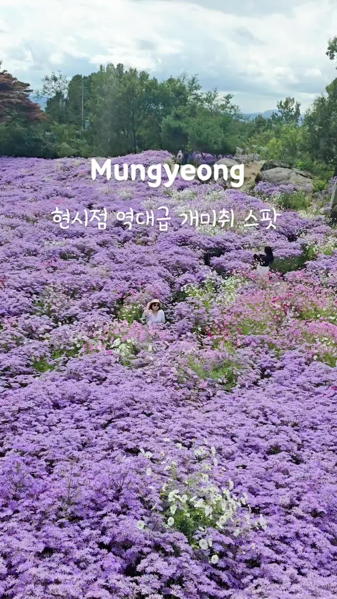 @요블리💕
