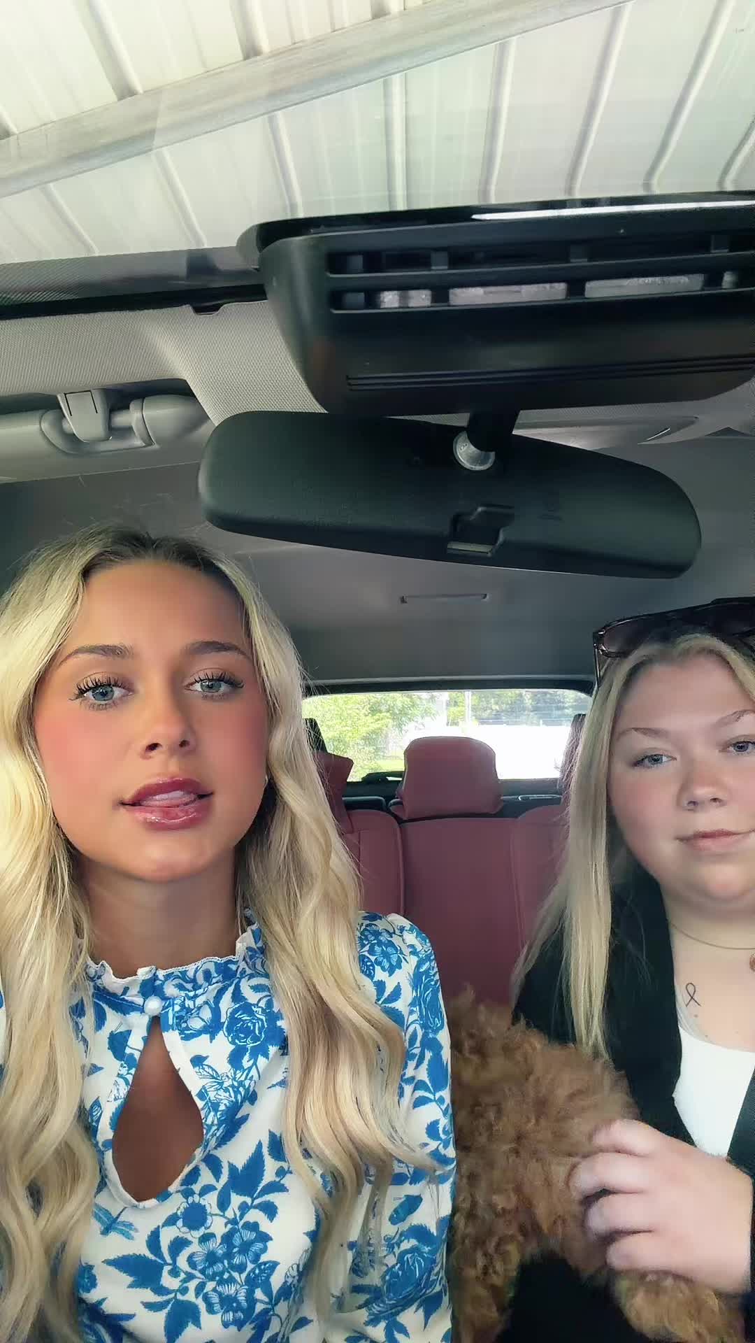@addison.traviss