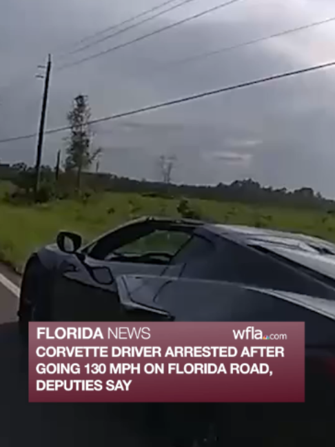 @WFLA News Channel 8