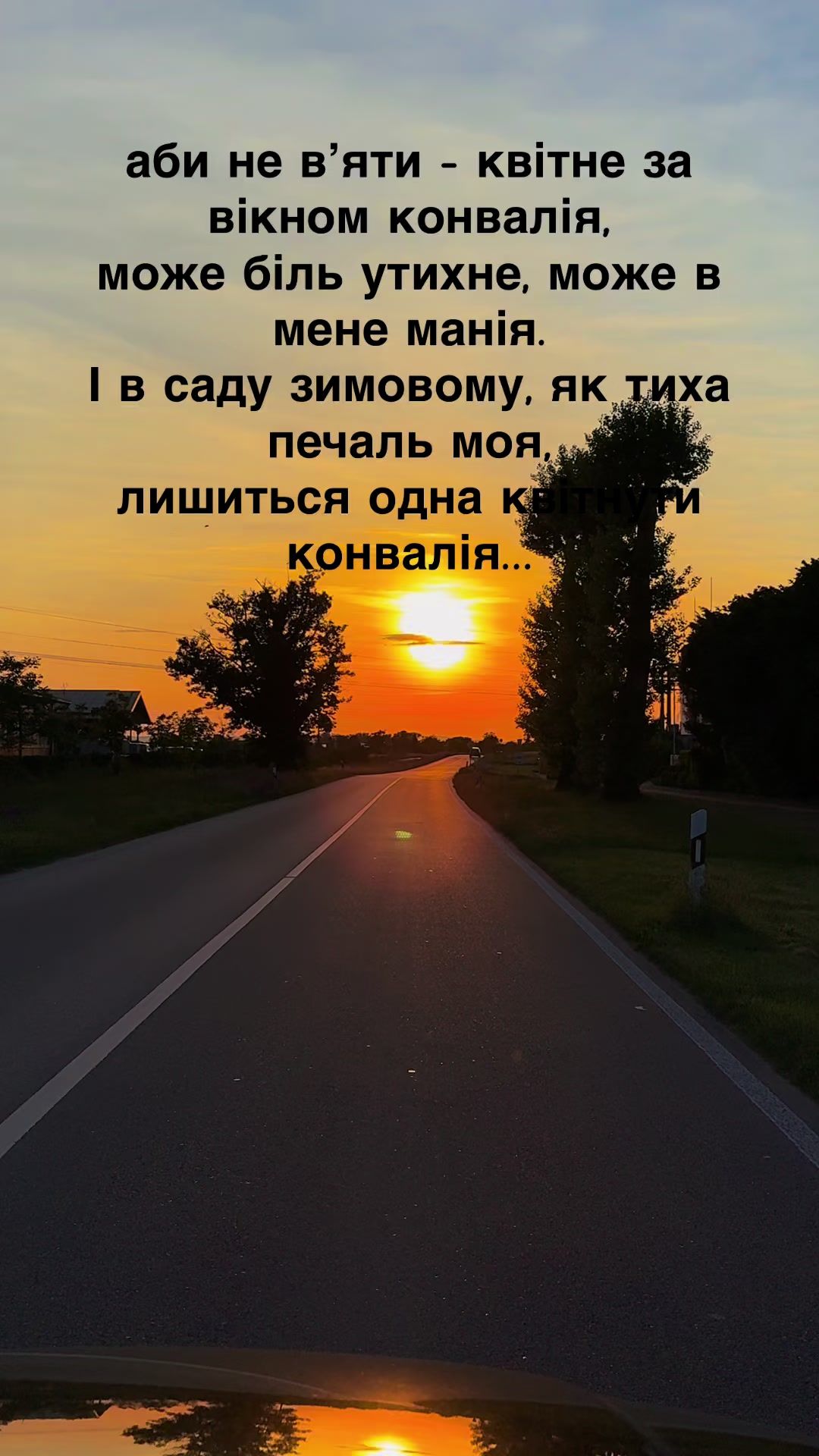 @user1011341066177