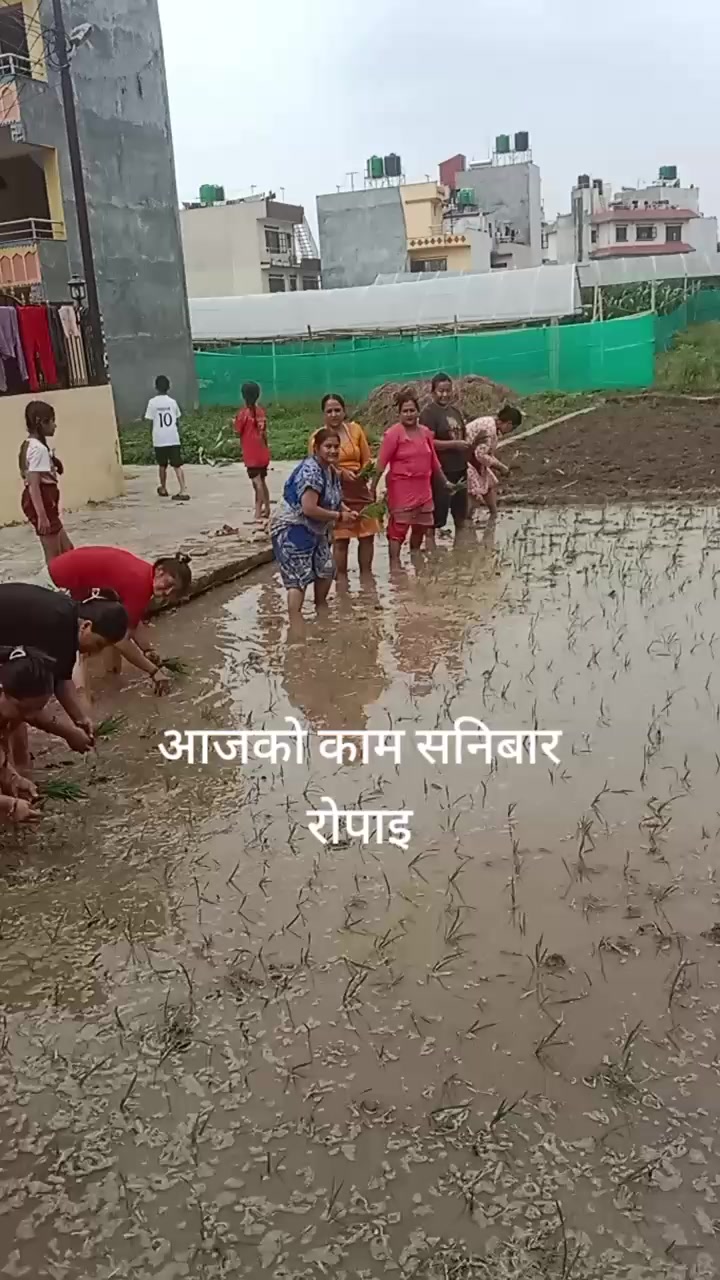 @Susheela
