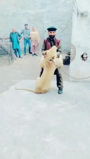 @saim_jutt🚩🦁👿