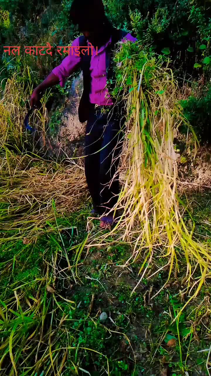 @गोबिन्द नेपाली