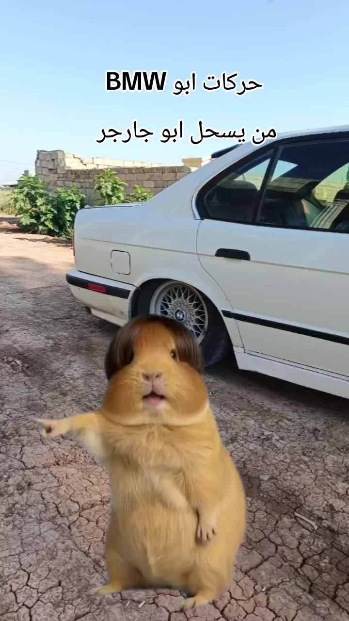 @محمد التميمي.★🇮🇶⃤༒★』