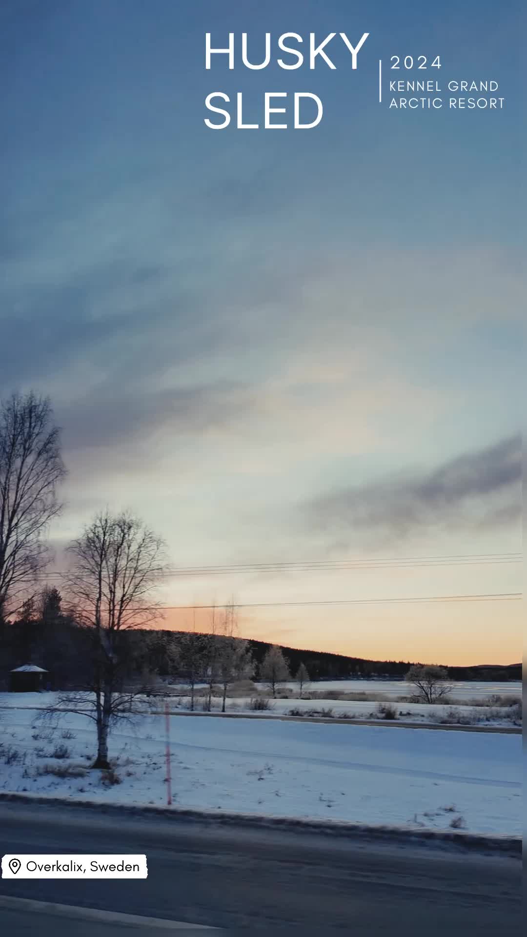 @Suzanity19