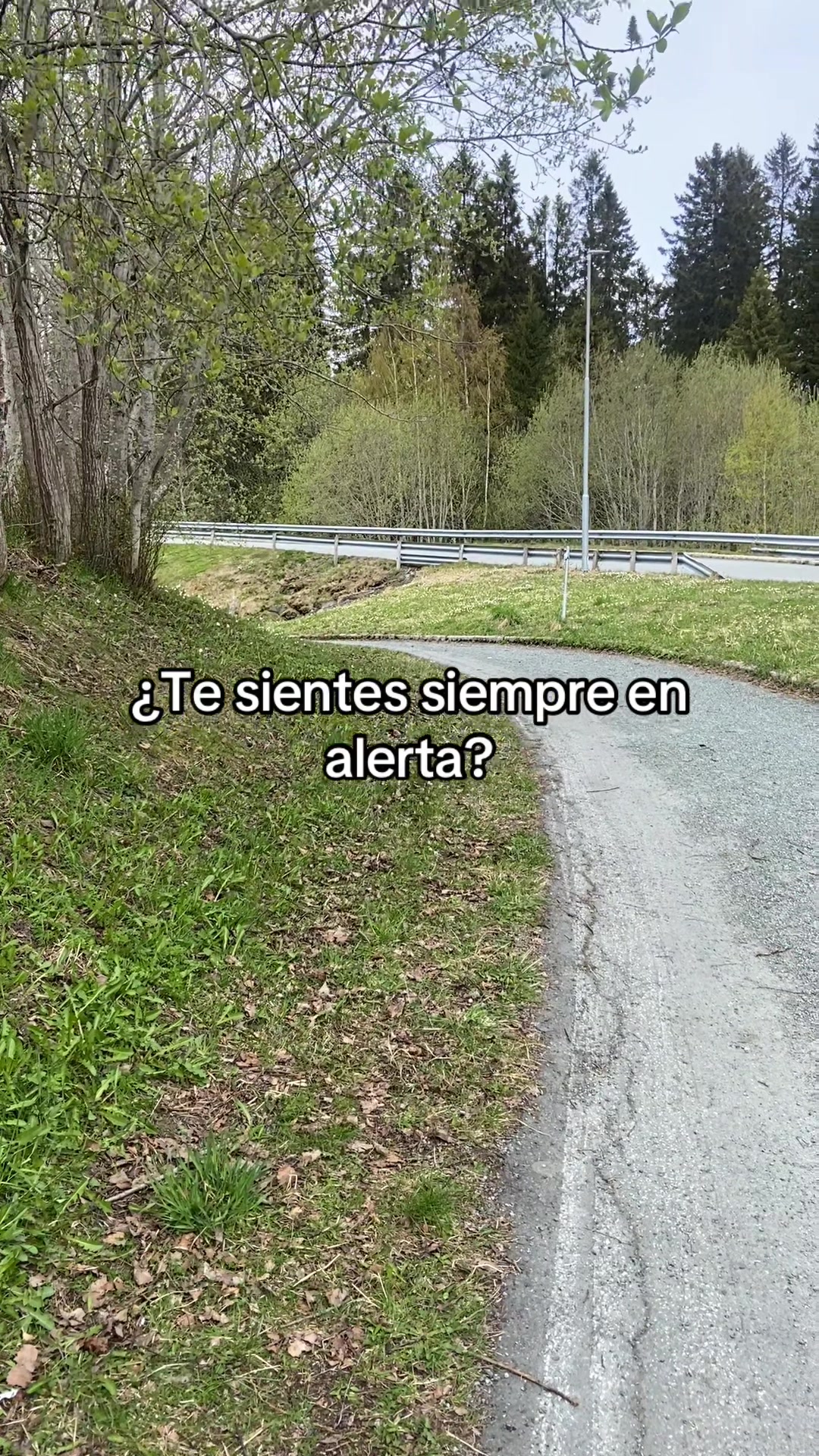 @Ana Garla