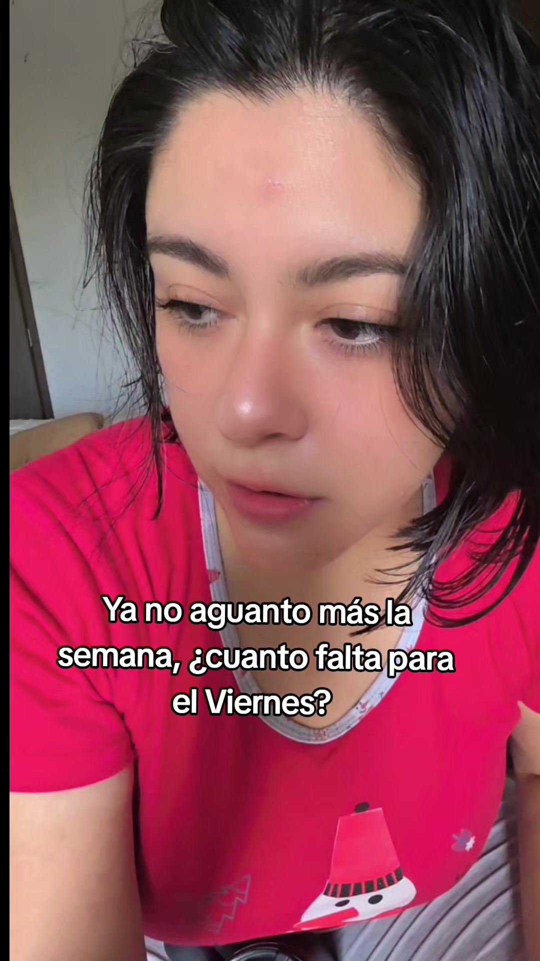 @Quespuesve 🐼🇪🇨