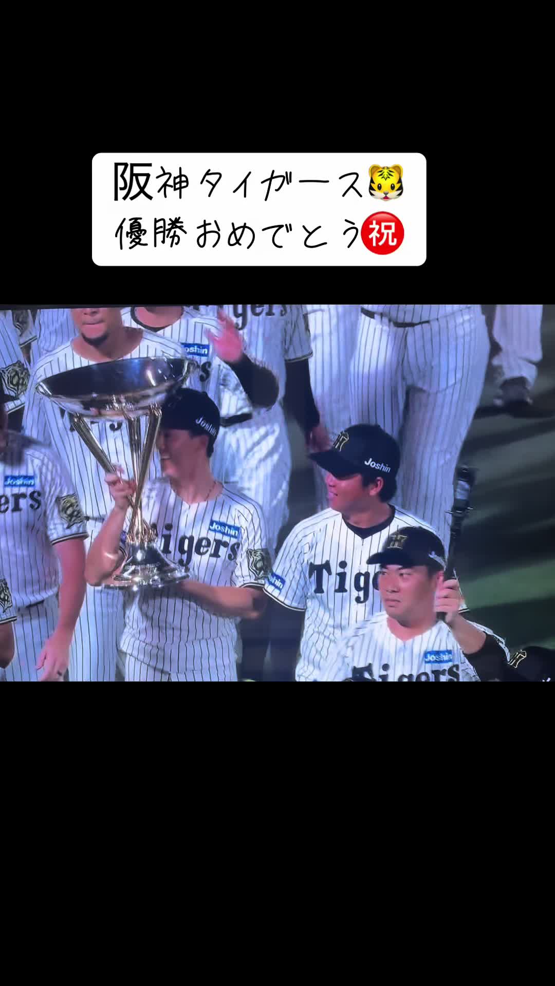 @団長だけどなに〜?👉👈🐕 ͗ ͗ ͗