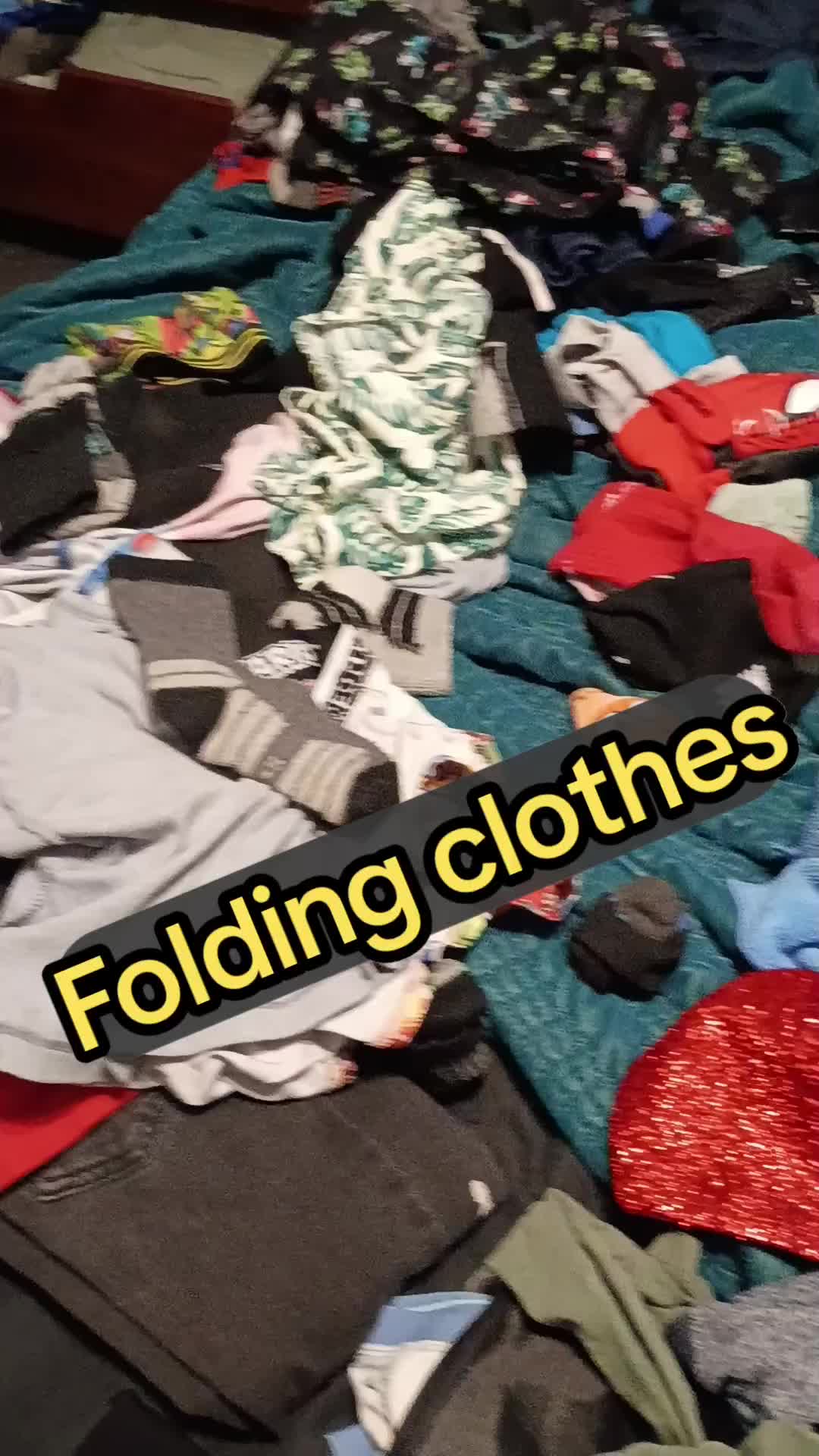 @chapis2479