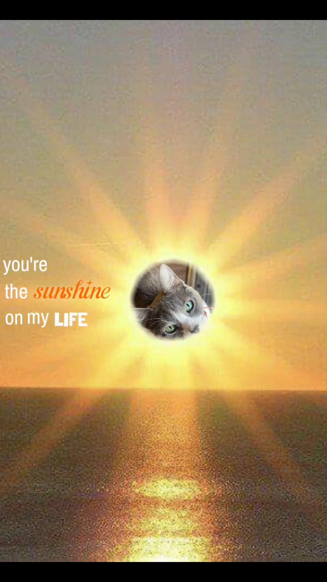 @neyna ˙ᵕ˙