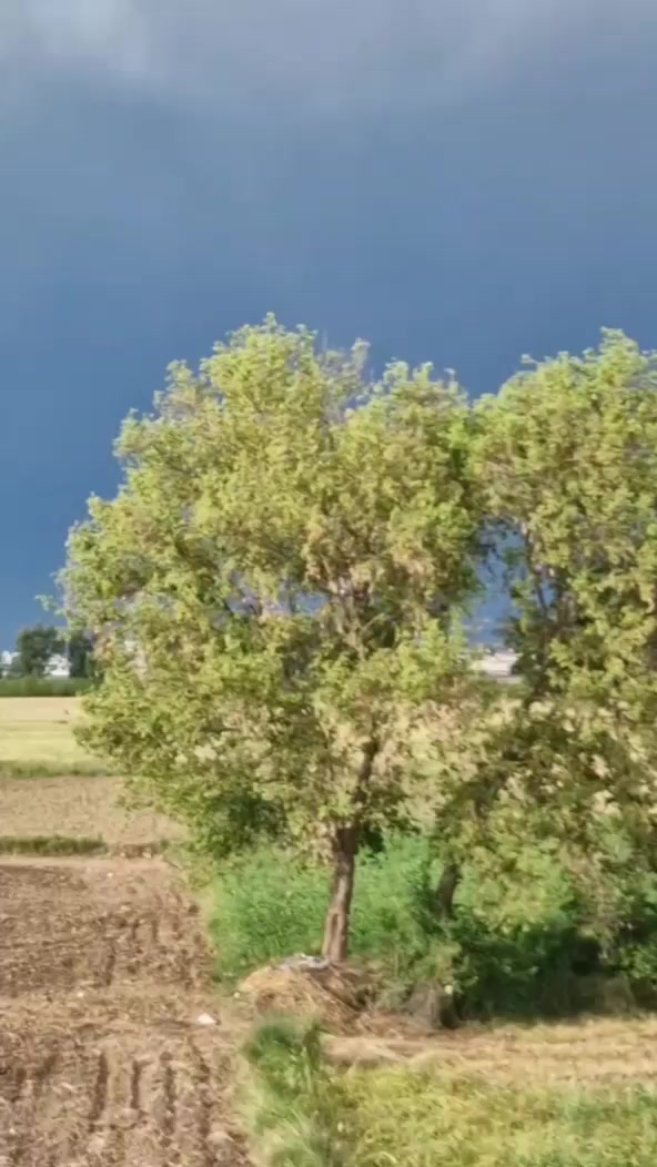 @اذان ساگر🥀