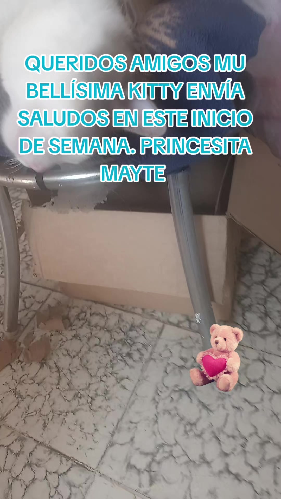 @minyna102