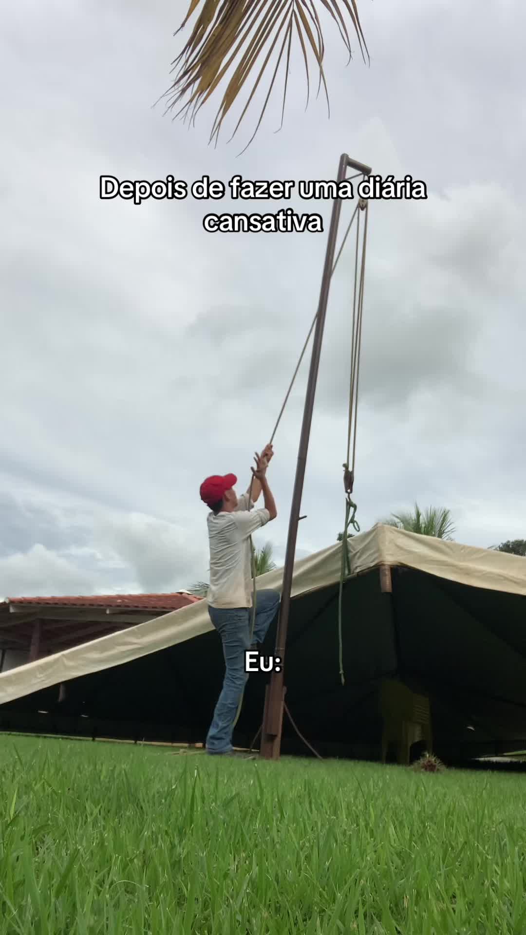 @Muriçoca 🦟