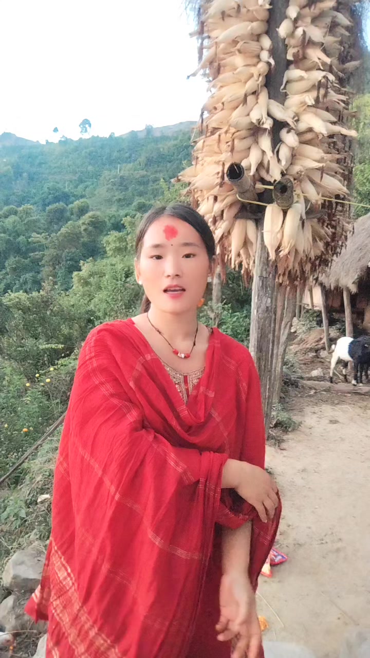 @🐼
