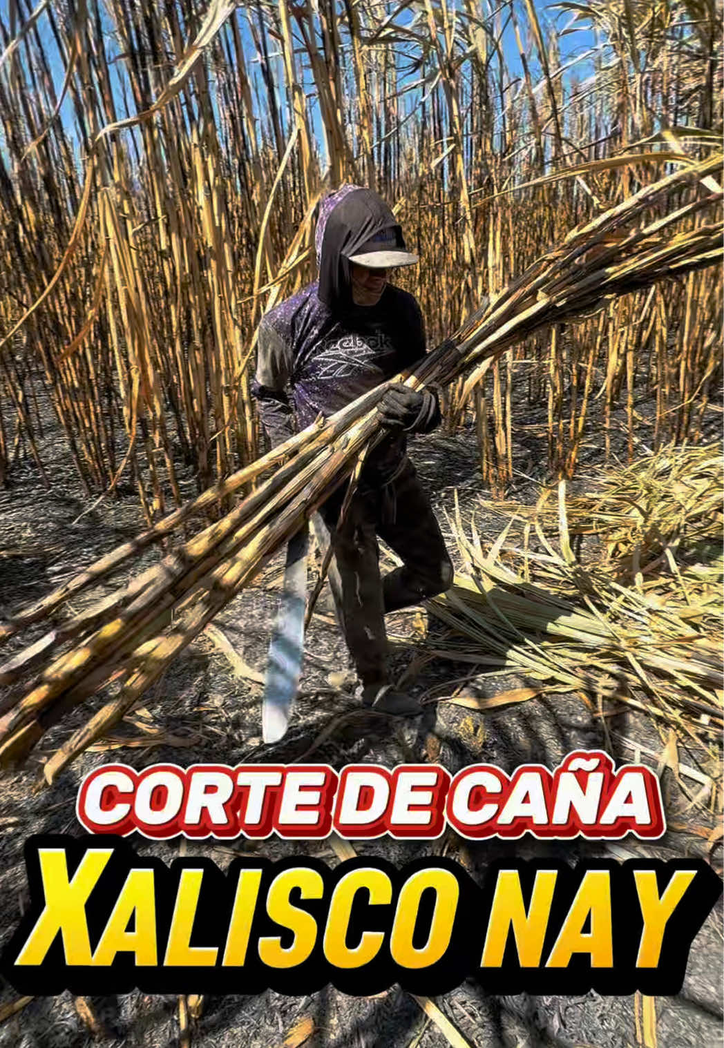 @LacomederaMex