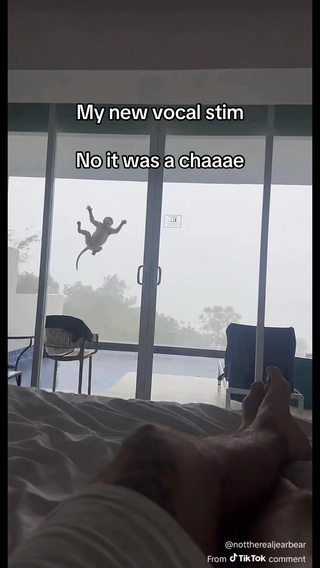 @Stefussy