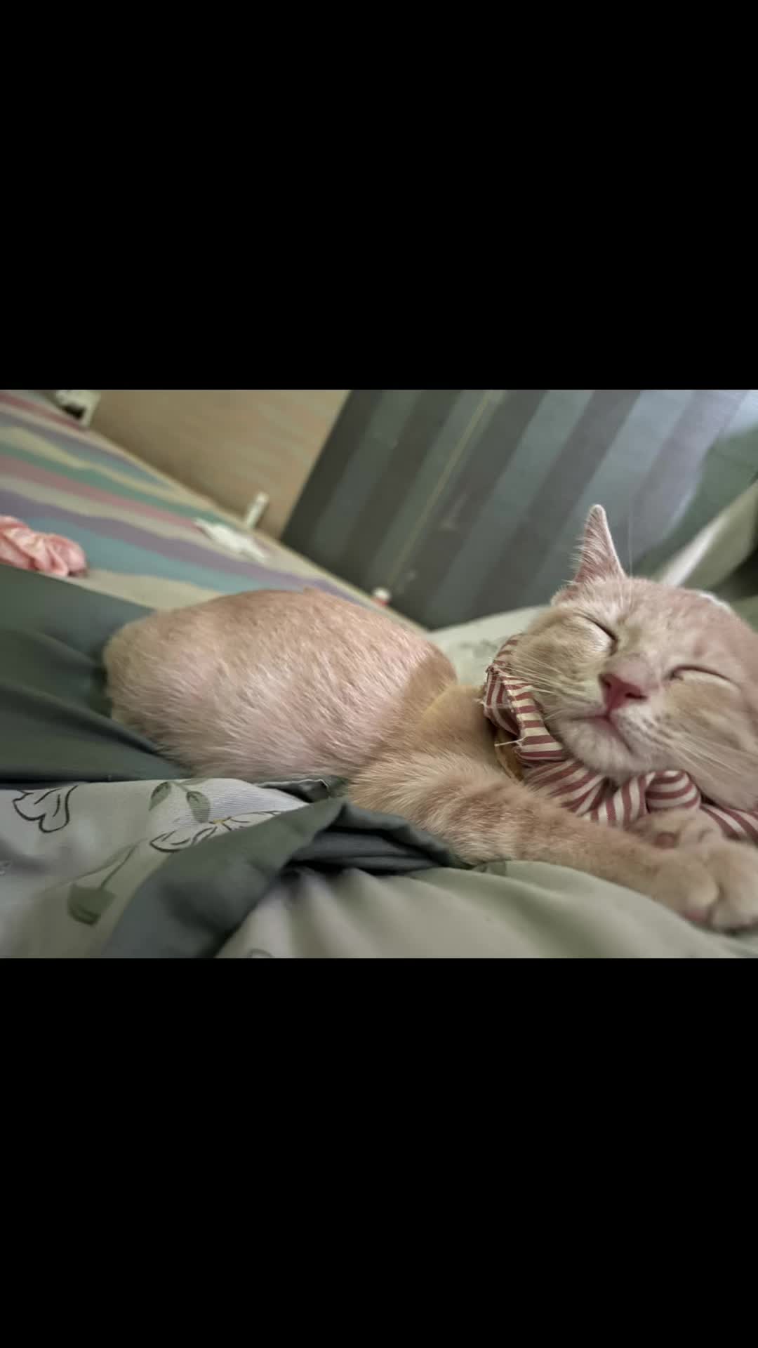 @C&Ocirc;NG NGHỆ MỚI