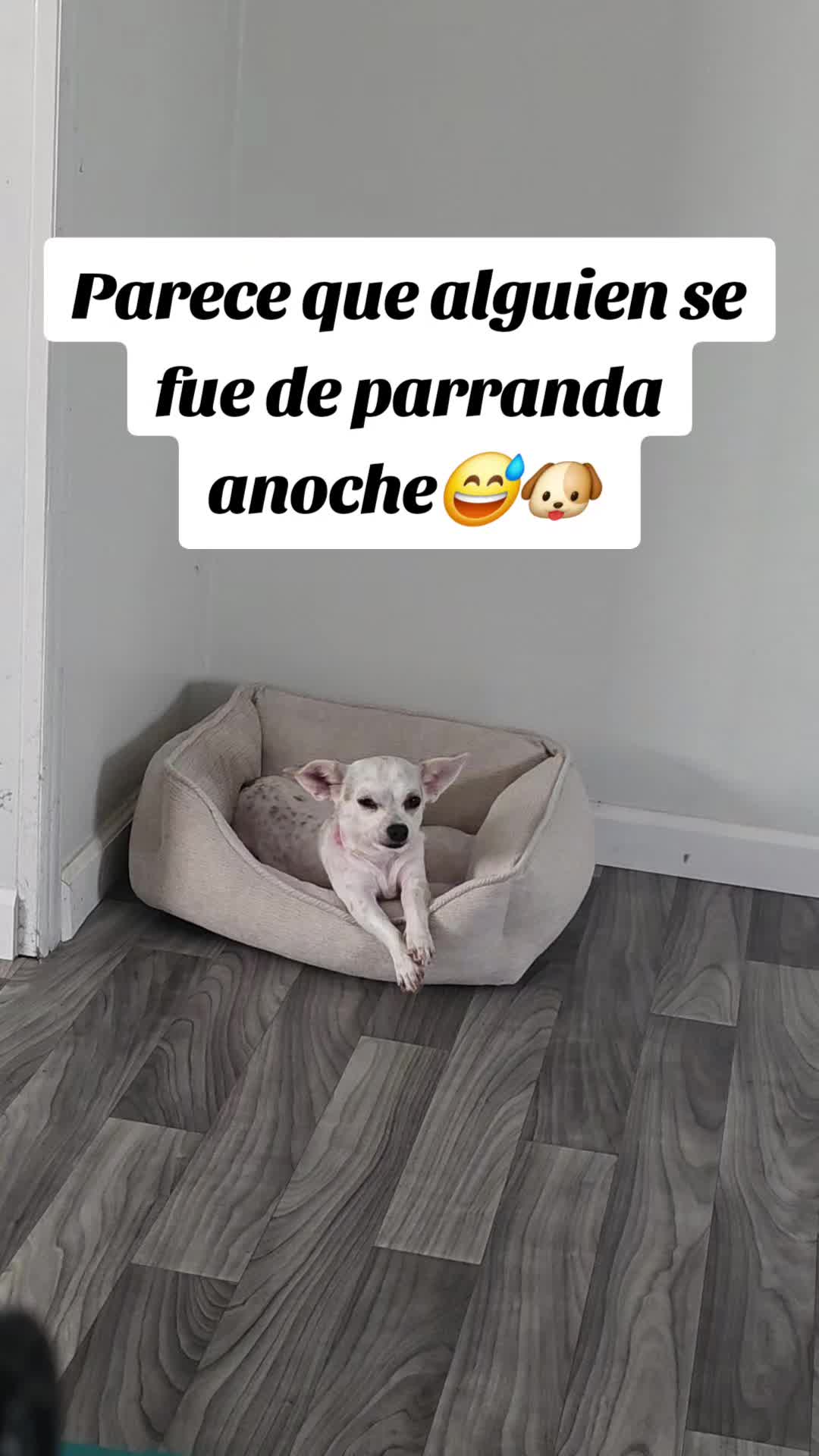 @JuliaLeon