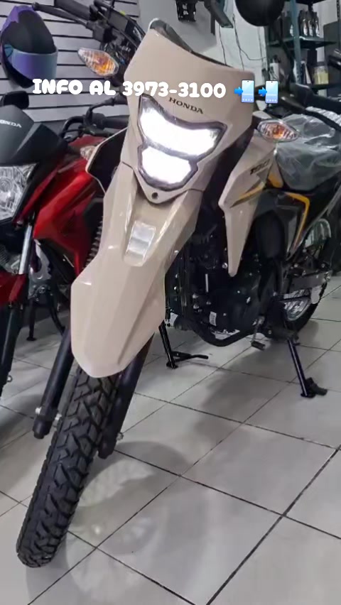 @Honda Carcha A.V.