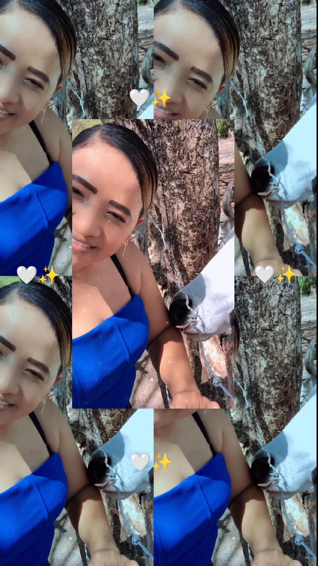 @jossabetmerloAguilar