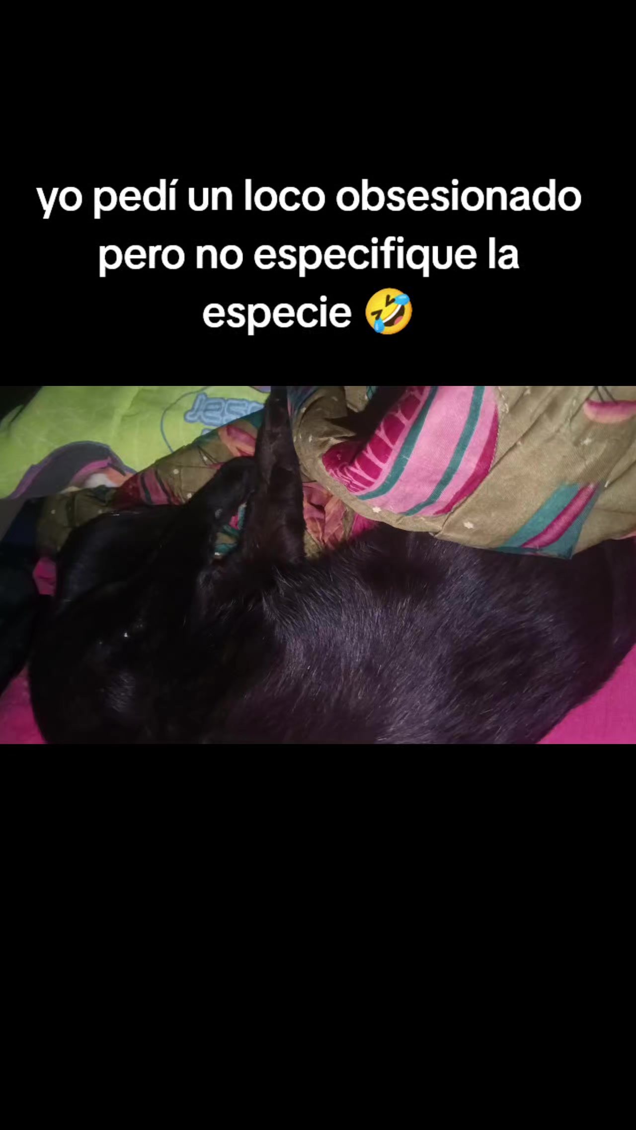 @🖤MICHy😻Queen💜