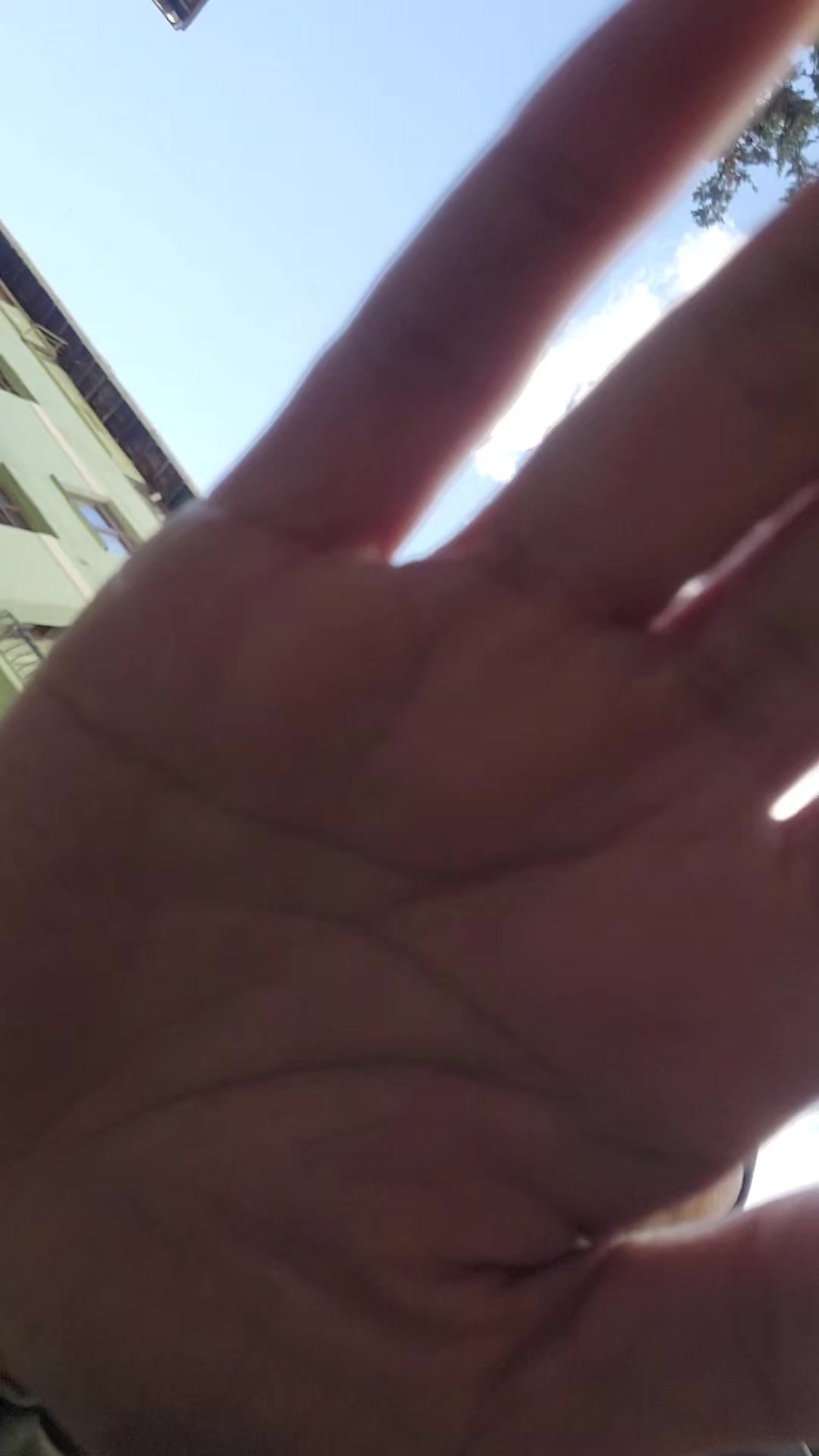 @amell_lia