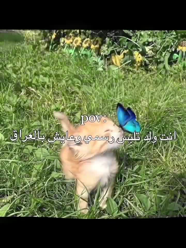 @جَـلال || أَبـوُ الأڪَبَر&sup3;&sup1;&sup3;☪︎