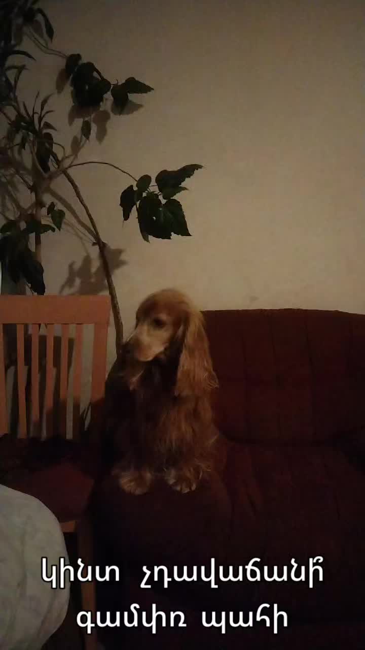 @Артур