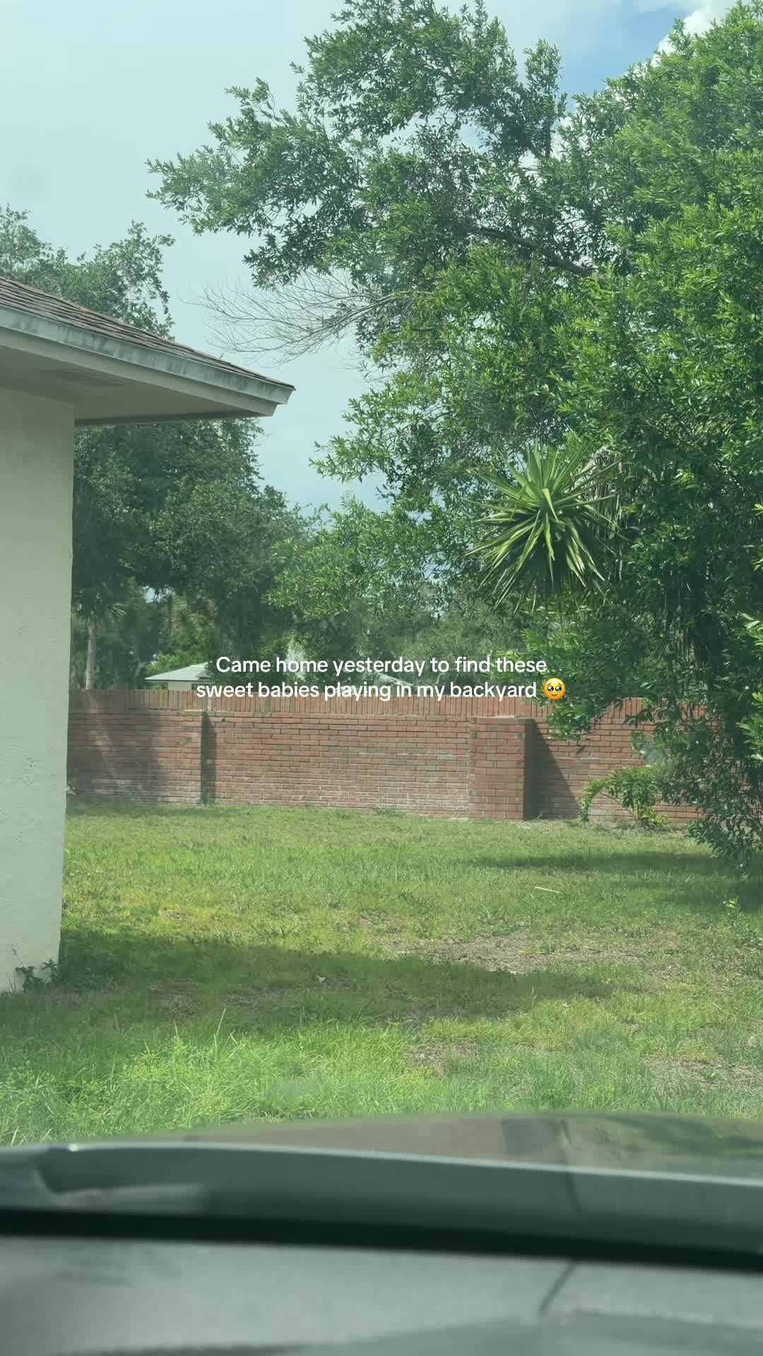 @Sarah