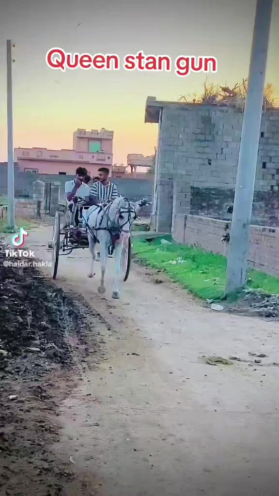 @Noman kasana Gujjar