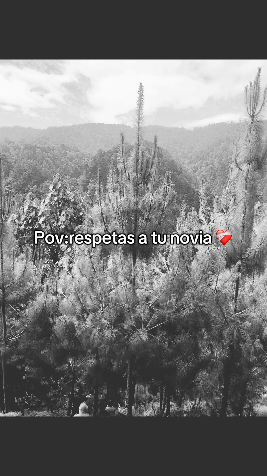 @B❤️&zwj;🩹🫶🏻FRASES✨😍&Scaron;