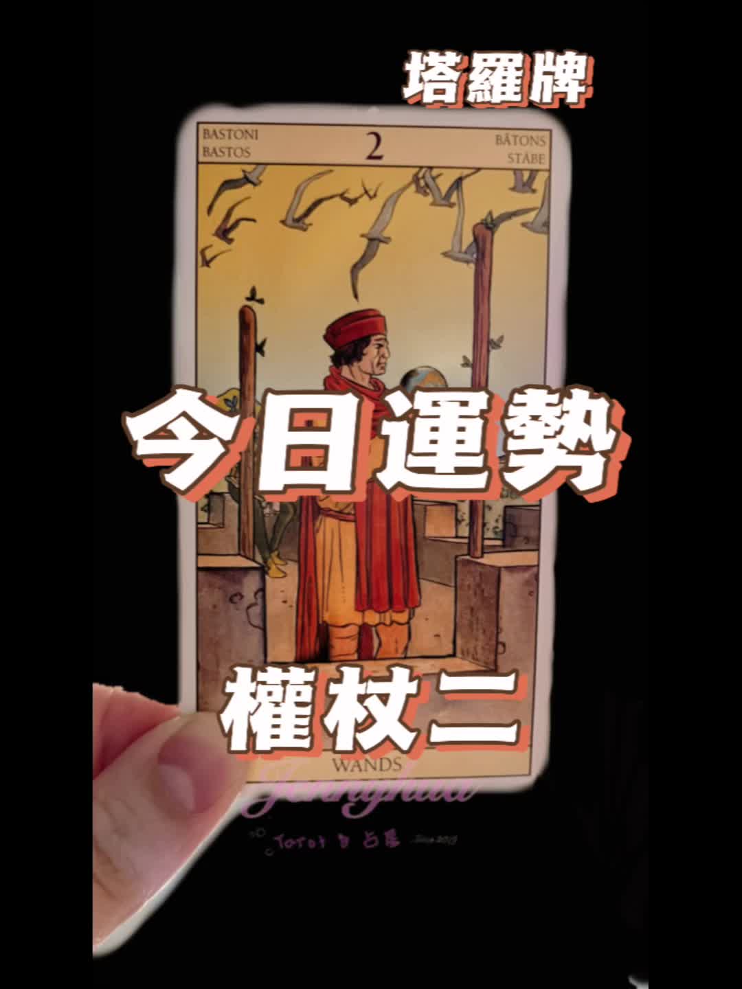 @꧁珍妮花的神秘花園꧂