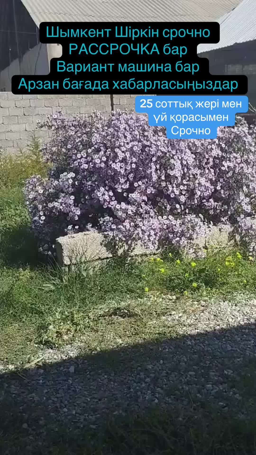 @ӨСКЕН | ҮЙ РЕКЛАМА | ШЫМКЕНТ