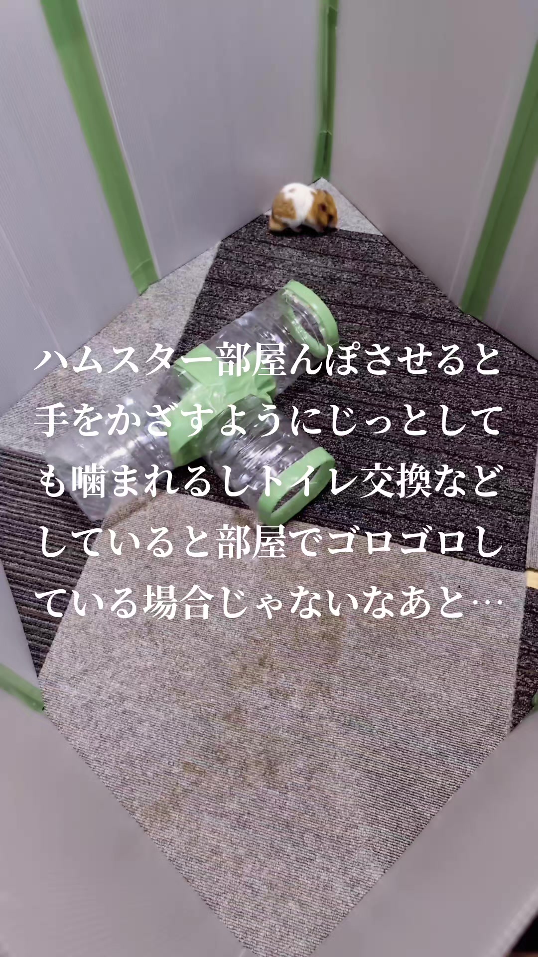 @K・B・M