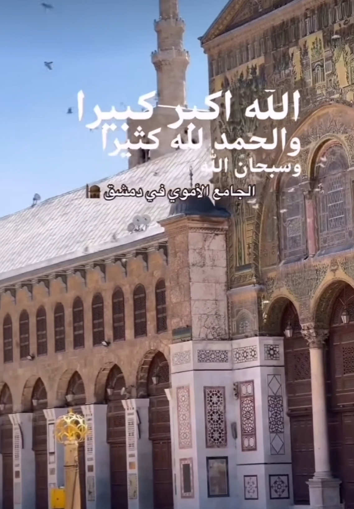 @ranaalnajjar40