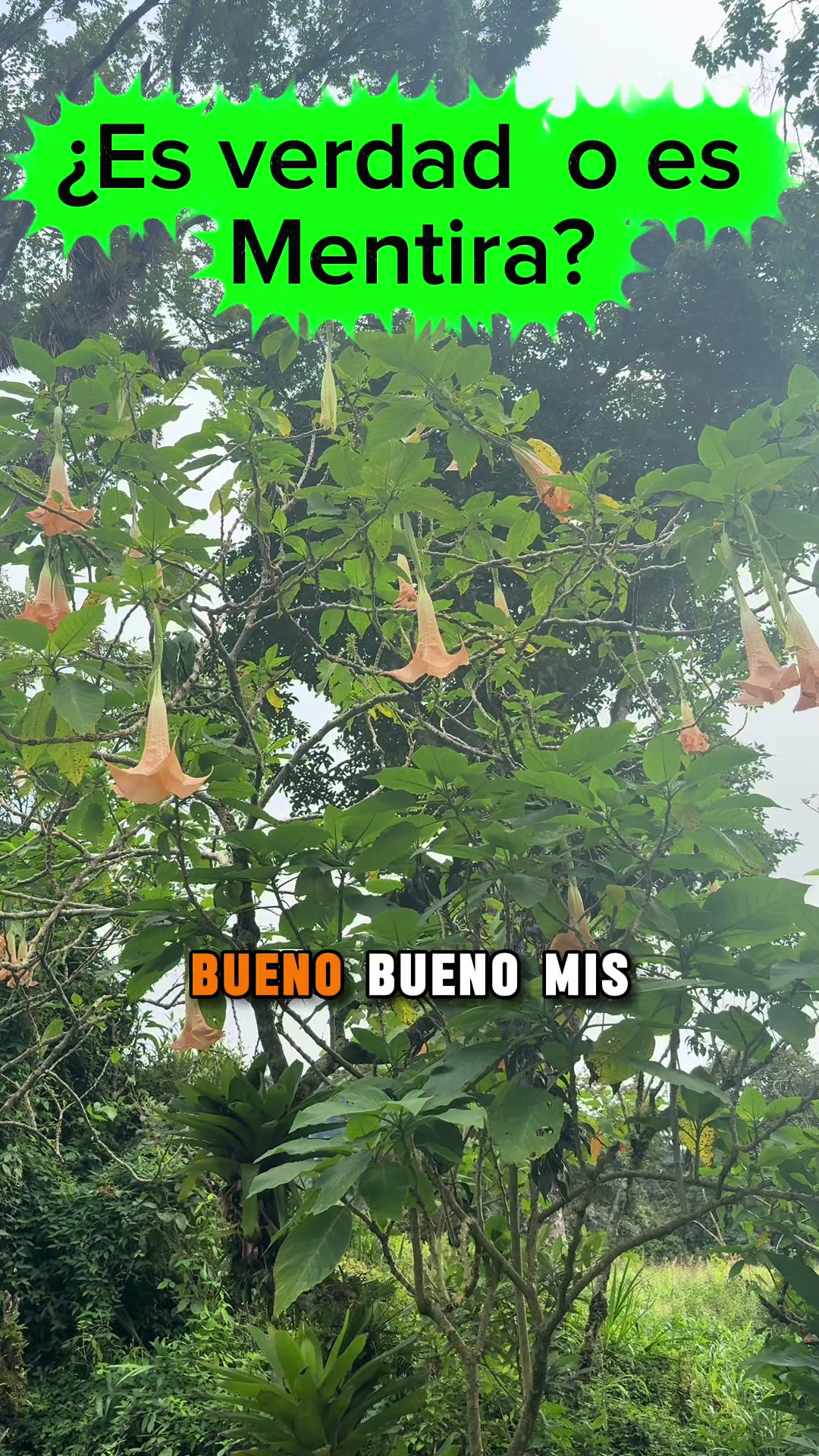 @507experiencia