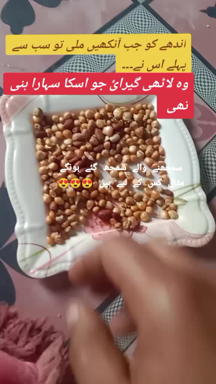 @shah wazeer khan